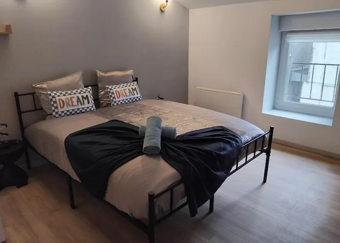 Au Bon Verger En Coeur De Hyper Centre Appartamento Cholet